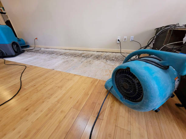 Professional Water Damage Repair technician working in Midvale, OH